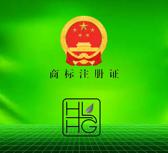 HLHG��ĸ���ͼ��LOGO�̱���ʽ��Ч
